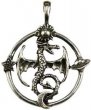 Celestial Dragon amulet
