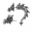 Tor Dragon Earring