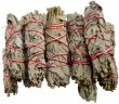 White Sage smudge stick 12pk 3 1/2"