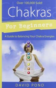 Chakras for Beginners by David Pond