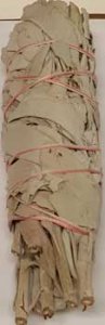 White Sage smudge stick 5-6"