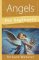 Angels for Beginners by Richard Webster