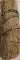 Sage & Sweetgrass smudge stick 7"